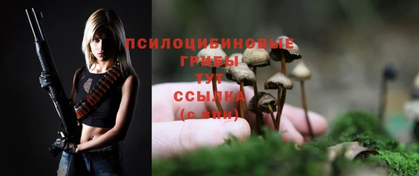 ECSTASY Балабаново