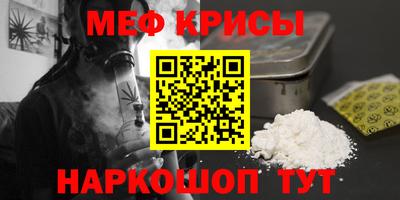 стаф Гатчина