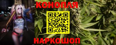 стаф Гатчина