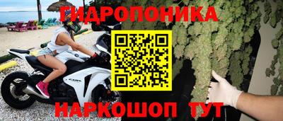 a pvp Гай
