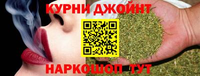 стаф Гатчина