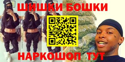 стаф Гатчина