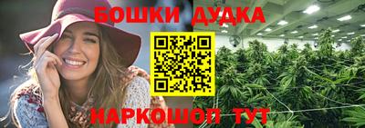 a pvp Гай