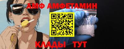 стаф Гатчина