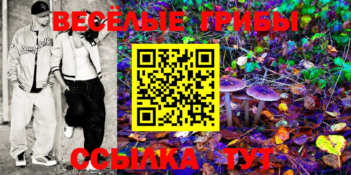 Галлюциногенные грибы ЛСД  Галлюциногенные грибы прущие грибы  Вход с VPN  Ногинск 